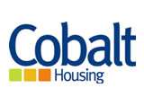 Link to Cobalt Website